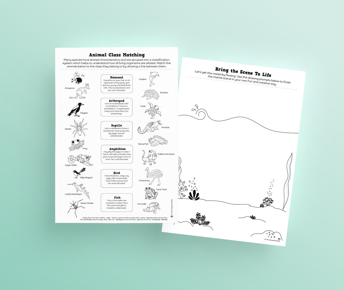 Backyard Nature Explorers - Digital Bundle