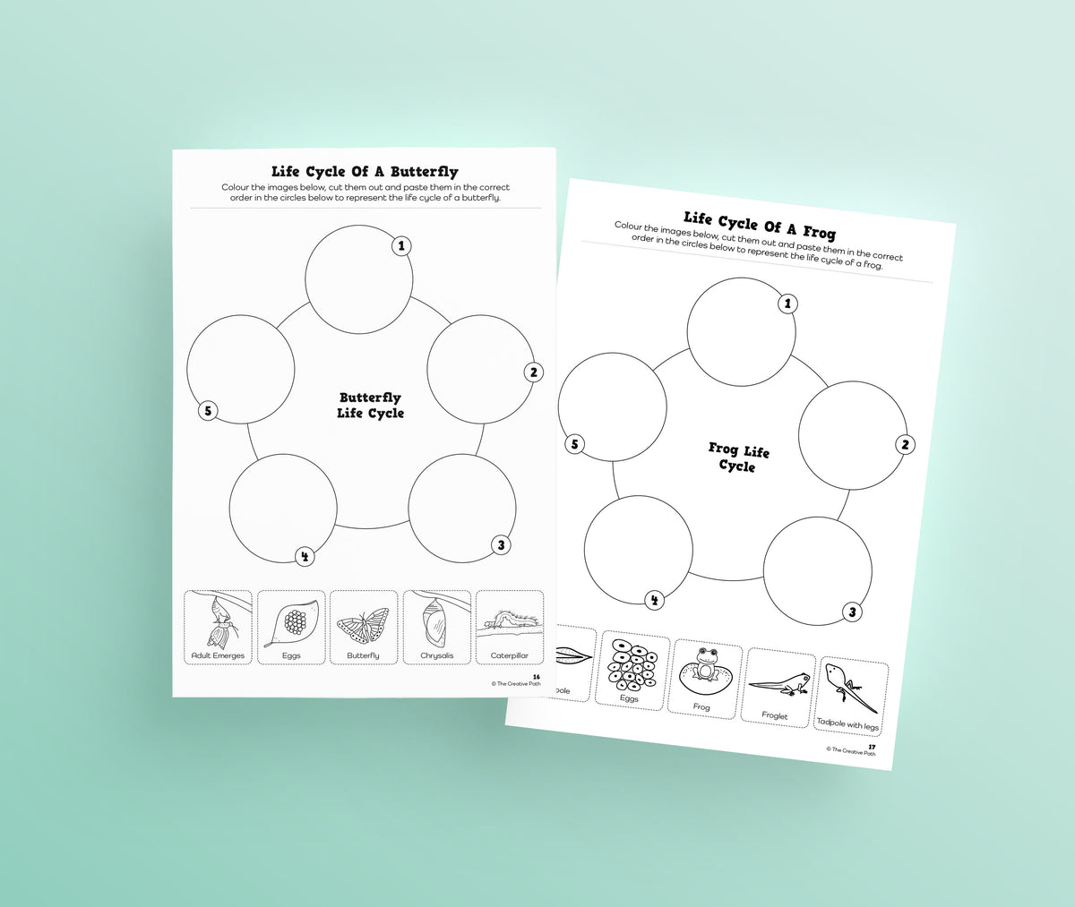 Backyard Nature Explorers - Digital Bundle