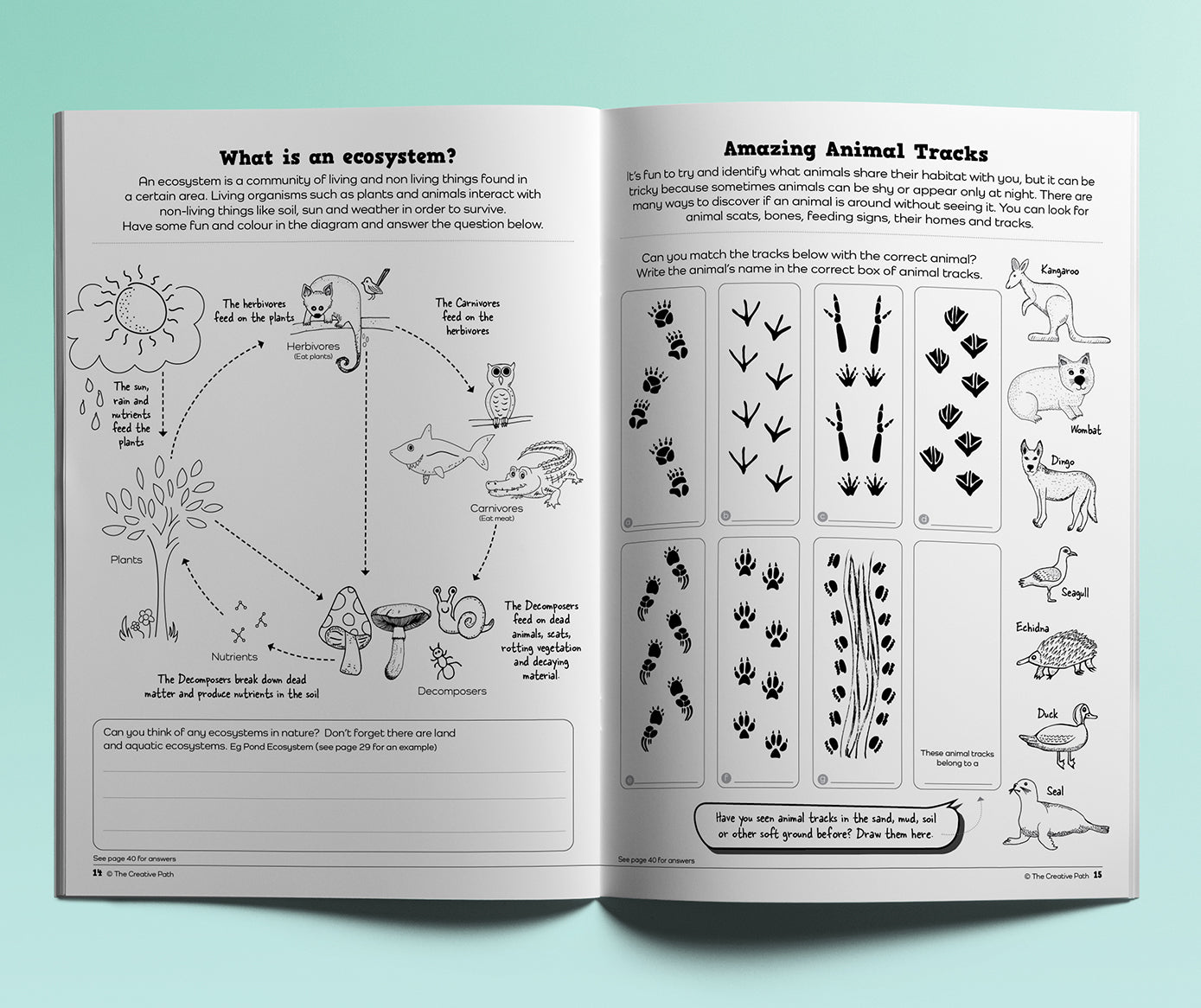 Plug into Nature Activity Book